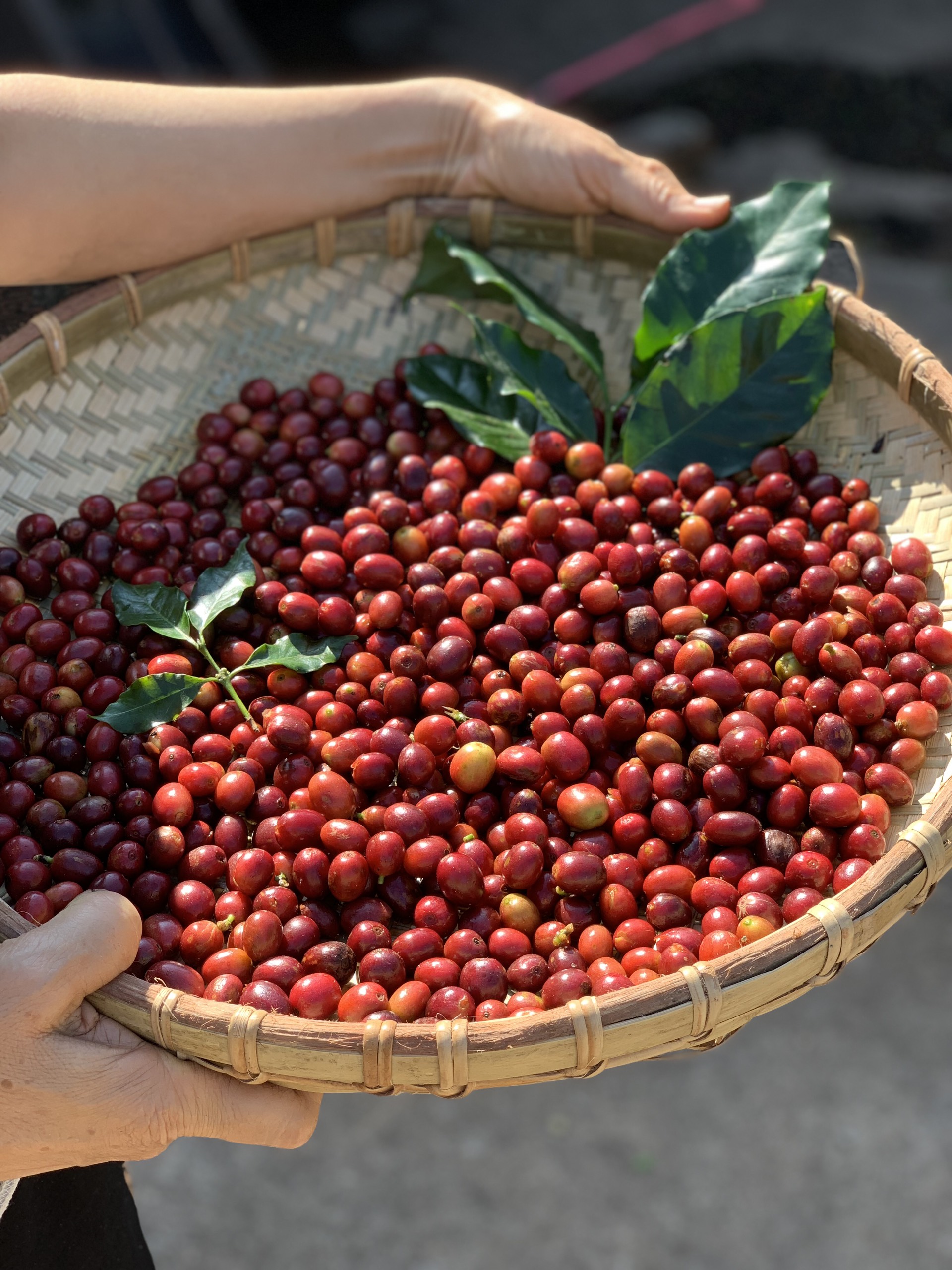 z4588875101092_7a6d7f572d77abaec46865ec50ff5c98