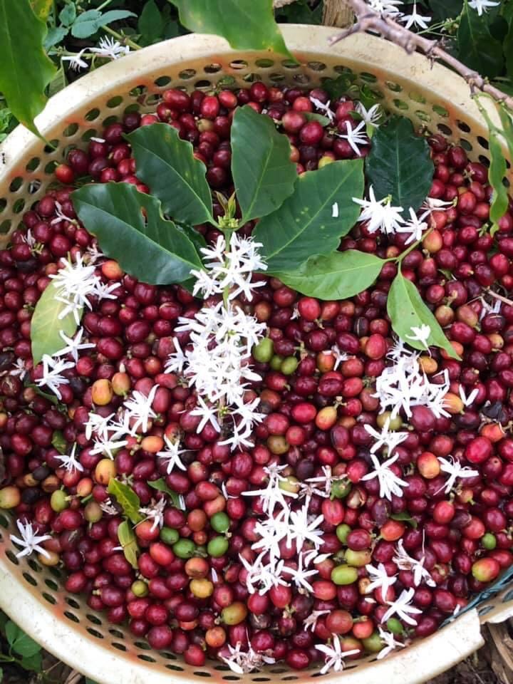 z4588875103491_095b24deeb468af83608683de10b0f97